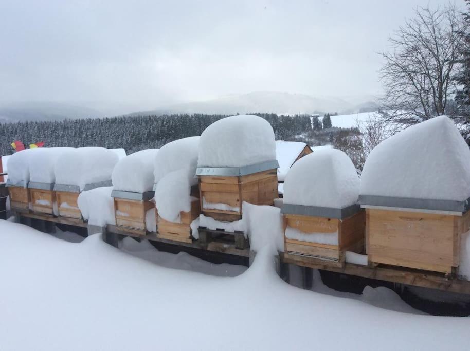 Ferienwohnung Zur Alten Schmiede Lenzkirch Exterior foto
